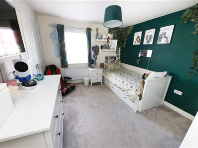Picture 21